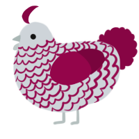 A mist and maroon chicken with a lace pattern
