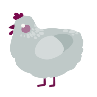 A silver chicken with a neck-speckle pattern