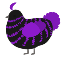 A sable and violet chicken with a bar pattern