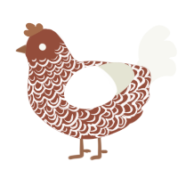 A russet and white chicken with a double-lace pattern