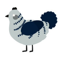 A silver and tumblr chicken with a half-bar pattern