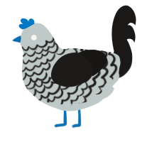 A silver and sable chicken with a lace pattern