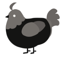 Burnie, a black and grey chicken with a head pattern