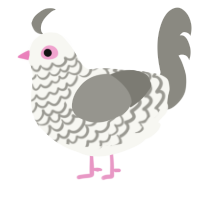 A white and ash chicken with a lace pattern