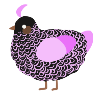 A sable and lavender chicken with a double-lace pattern