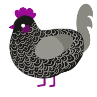 A sable and ash chicken with a double-lace pattern
