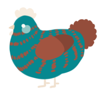 A teal and russet chicken with a bar pattern