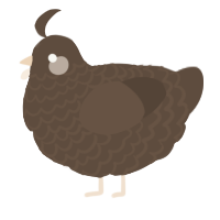 A bark chicken with a lace pattern