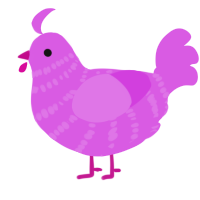 A orchid chicken with a bar pattern