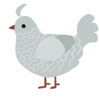 A silver chicken with a lace pattern