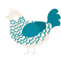 A cream and sea chicken with a lace pattern