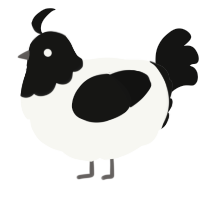 A white and black chicken with a head pattern