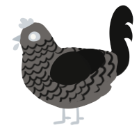 A grey and black chicken with a lace pattern