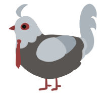 A grey and mist chicken with a head pattern