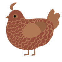 A russet and brown chicken with a lace pattern