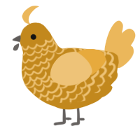 A ochre and honey chicken with a lace pattern