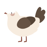 A cream and bark chicken