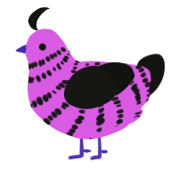 Anemone, a orchid and black chicken with a bar pattern