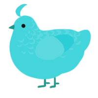 A aqua chicken with a half-lace pattern