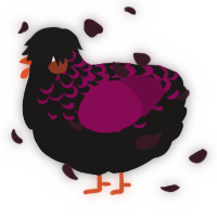 A sable and wine chicken with a half-lace pattern