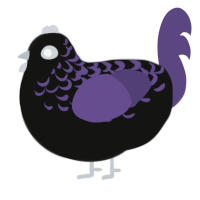 A black and overcast chicken with a half-lace pattern