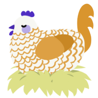 A white and orange chicken with a lace pattern