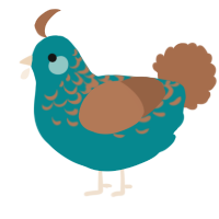 A teal and brown chicken with a half-lace pattern