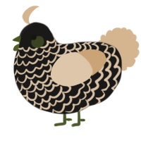 A sable and beige chicken with a lace pattern