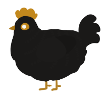 A sable chicken with a half-bar pattern