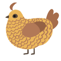 A honey and brown chicken with a lace pattern
