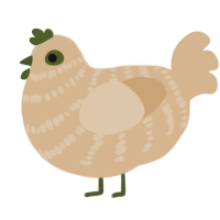 A beige chicken with a bar pattern