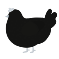 gunmetal, a black chicken with a speckle pattern