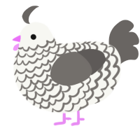 A white and grey chicken with a lace pattern