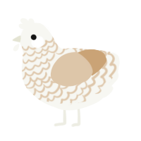 A white and beige chicken with a lace pattern