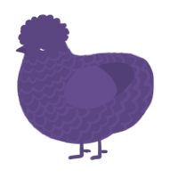 A overcast chicken with a lace pattern