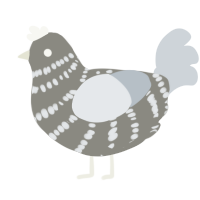 A ash and mist chicken with a bar pattern