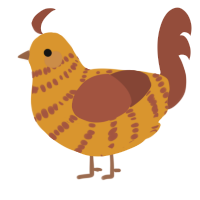 A orange and russet chicken with a bar pattern