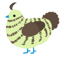 A apple and bark chicken with a bar pattern
