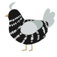 A sable and silver chicken with a bar pattern