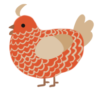 A vermilion and beige chicken with a lace pattern