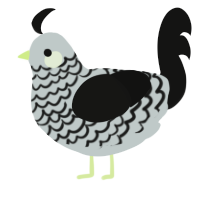 Manuscript, a silver and black chicken with a lace pattern