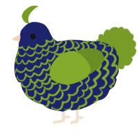 A navy and chartreuse chicken with a lace pattern