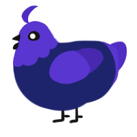 A navy and indigo chicken with a head pattern
