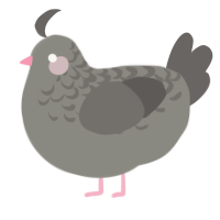 A ash and grey chicken with a half-lace pattern
