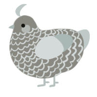 A ash and silver chicken with a lace pattern