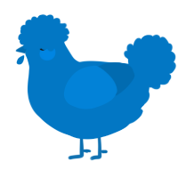 A sapphire chicken