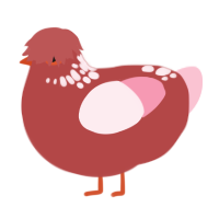 Water Pitcher, a red and rose chicken with a neck-speckle pattern