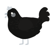 A black and sable chicken with a half-lace pattern