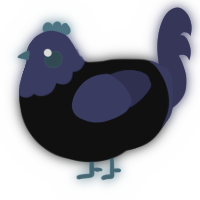 A black and navy chicken with a head pattern