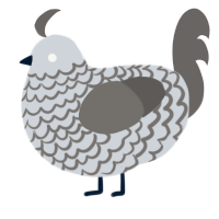 A mist and grey chicken with a lace pattern